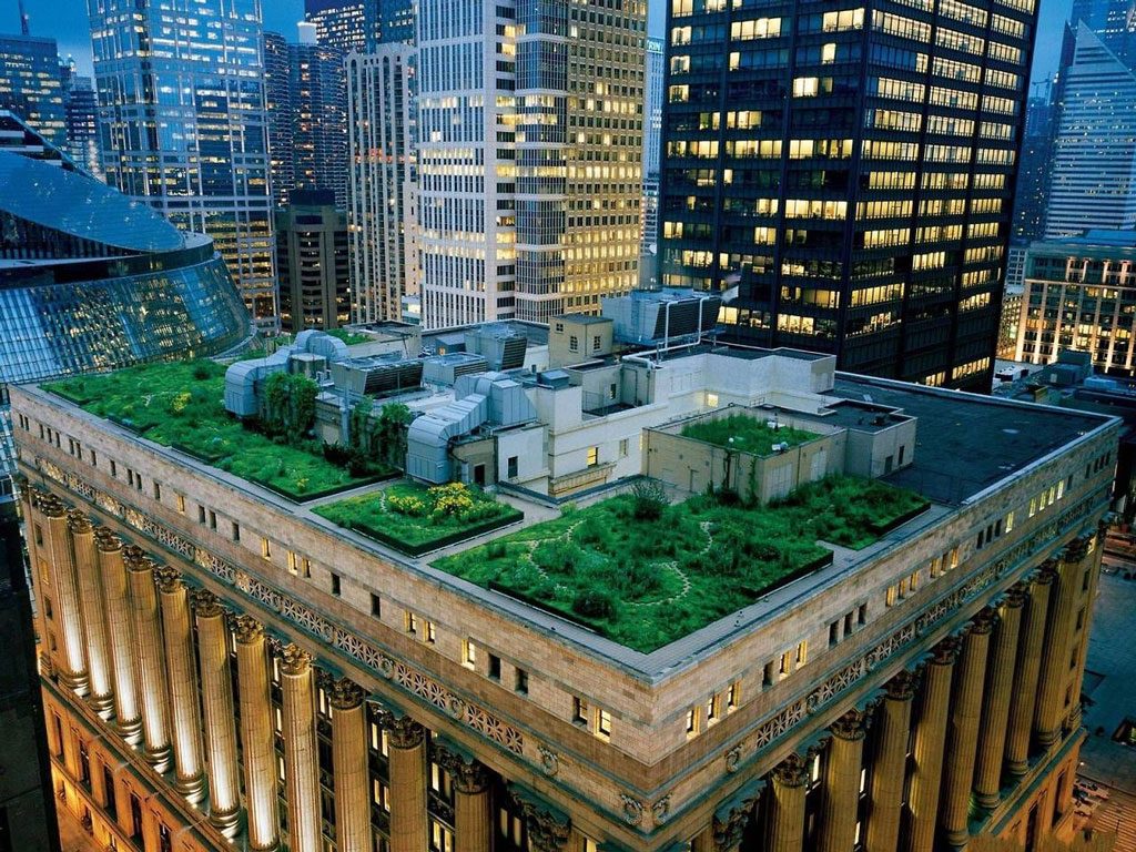 City-Hall-Rooftop-Garden-(Chicago)-آراد-چوب-ایرانیان